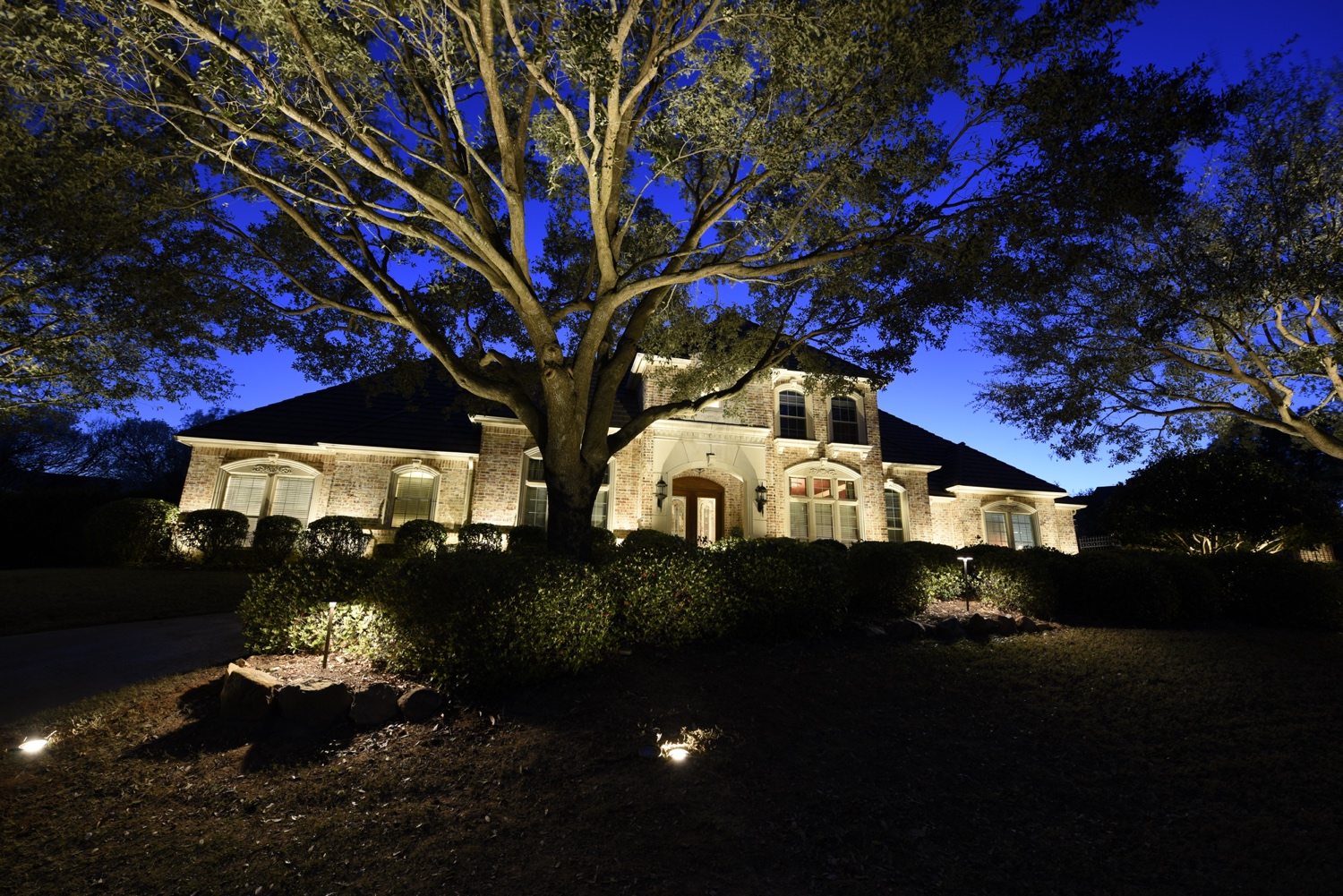 Professional Landscape Lights Installers