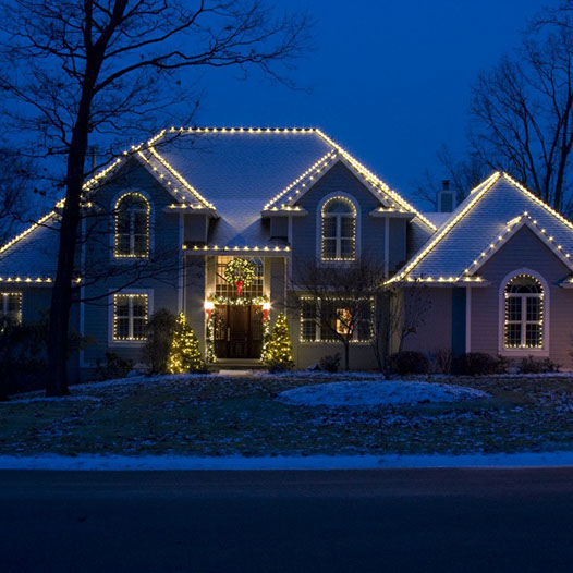 professional christmas lights installers