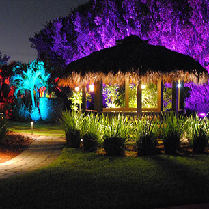 App controlled landscape lights